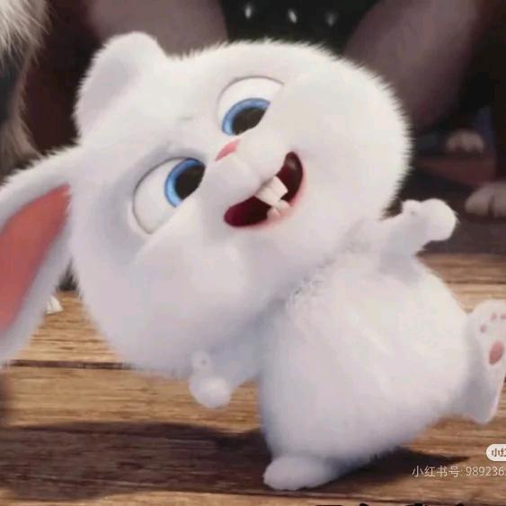 耍帅被打掉两颗门牙