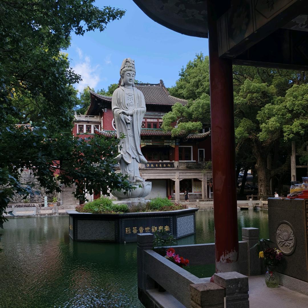 金鳞岂是池中物