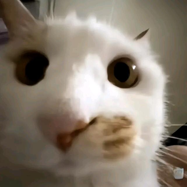 邻家大窝瓜