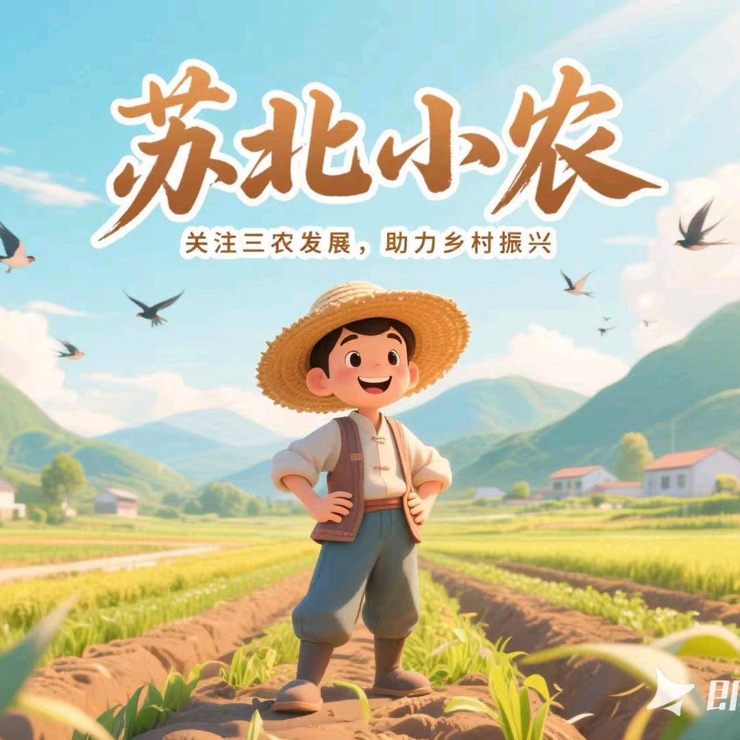 苏北小农