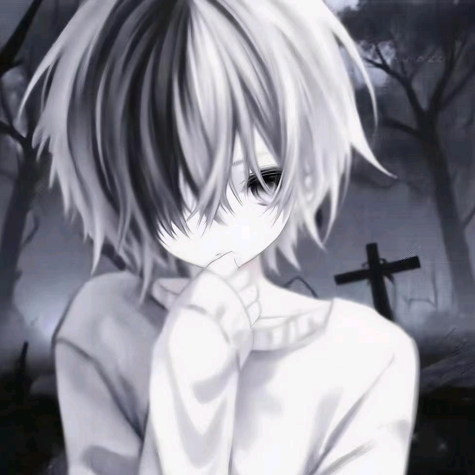 王者荣耀小菠萝（国一老虎）