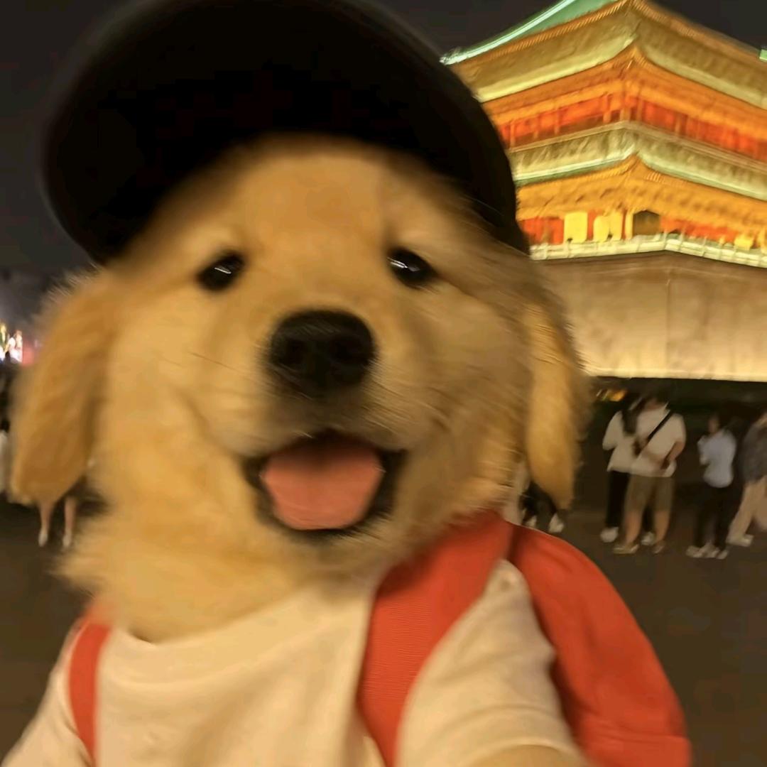 祁柒七
