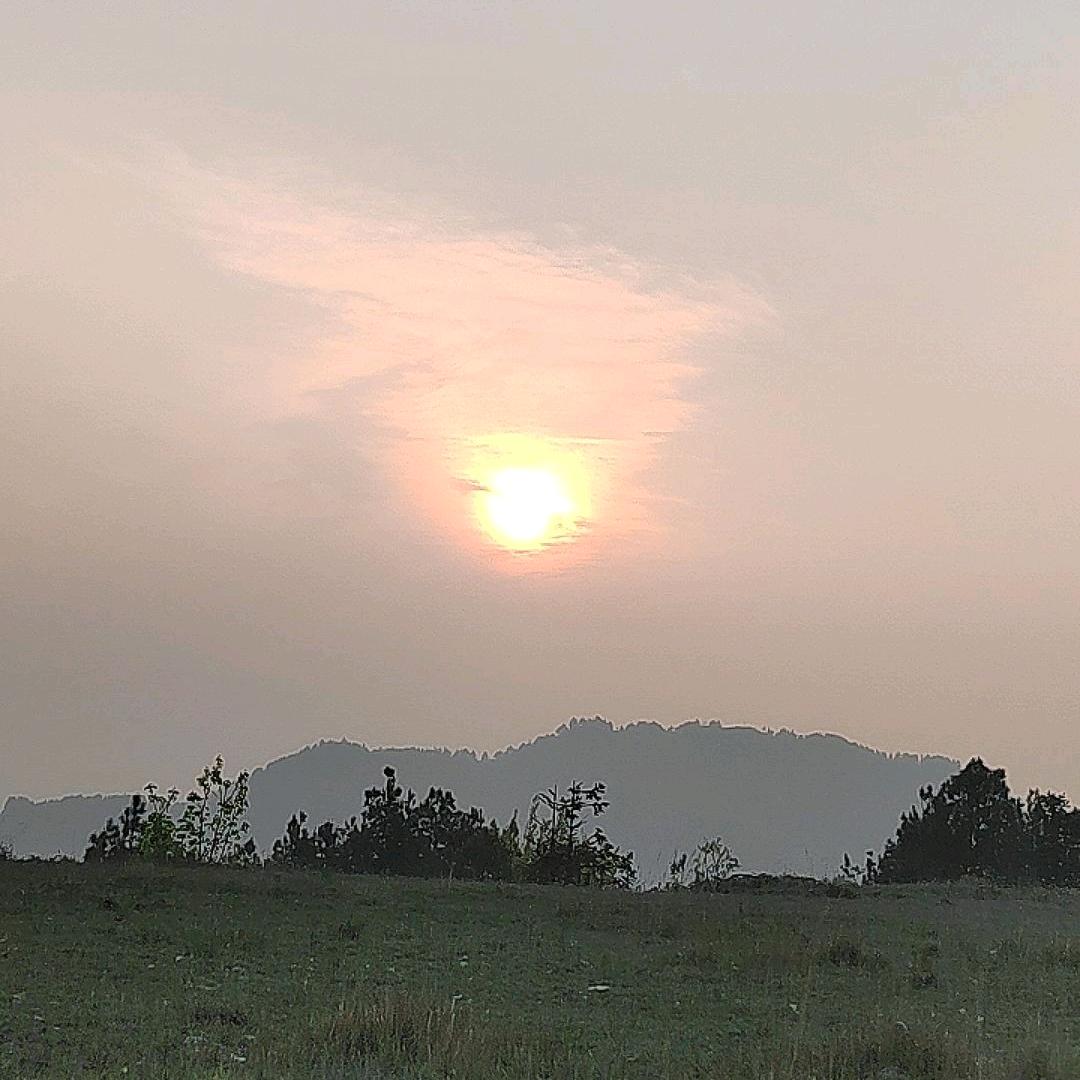 一笑倾城