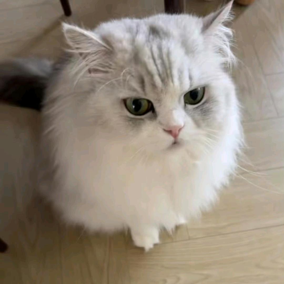 也许8
