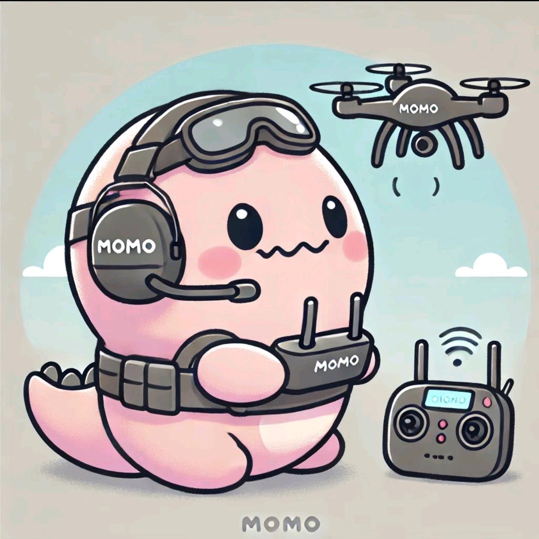 盼盼会飞无人机