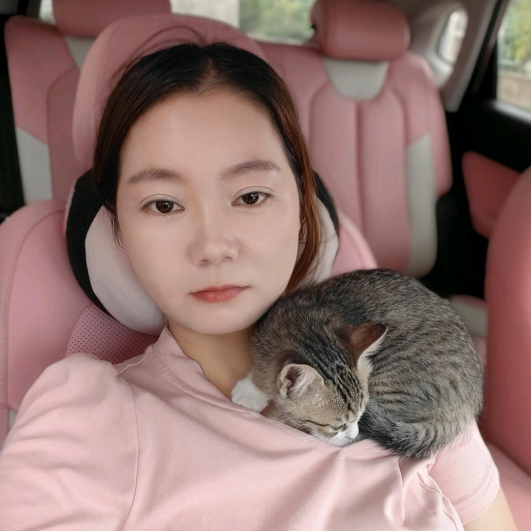 丁怡婷的猫咪