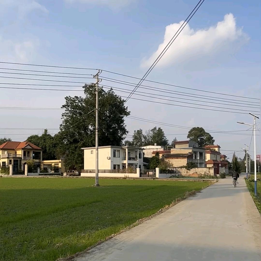 文