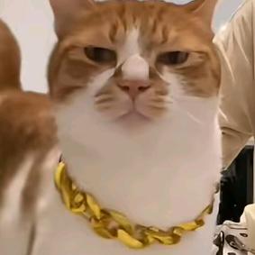 足够