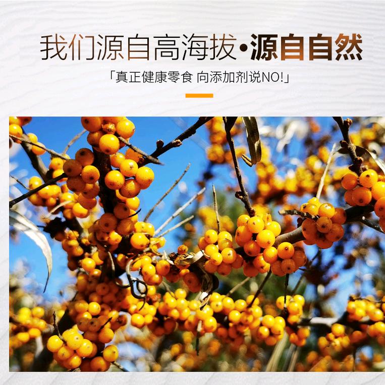 陇源红食养专营店陇上金果沙棘优品