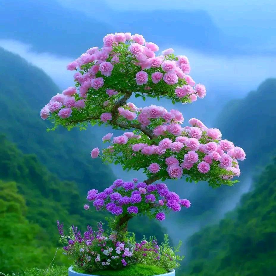 执手不离