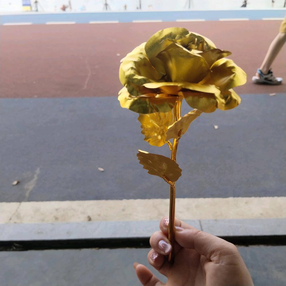 🍃🌺沉 默🌺🍃