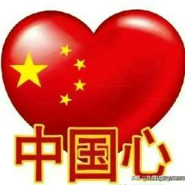何琴君