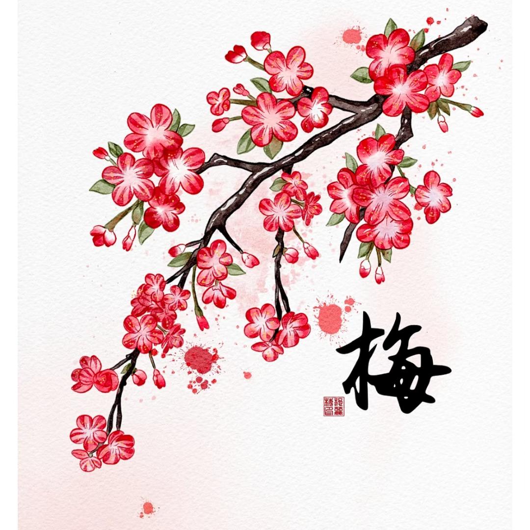 【洪庄大明星】单红梅🌸