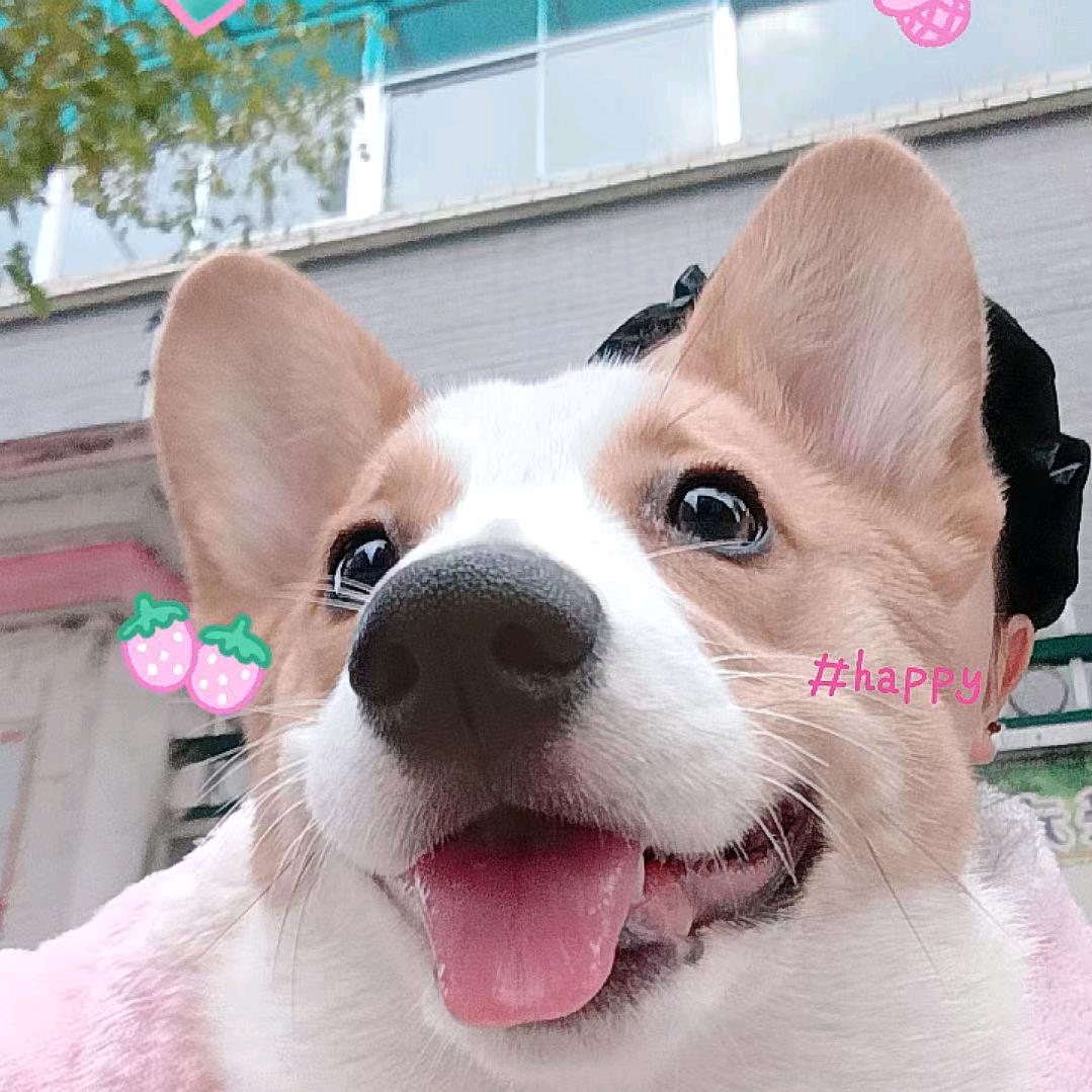 (๑><๑）放慢(⑉°з°)-♡心跳