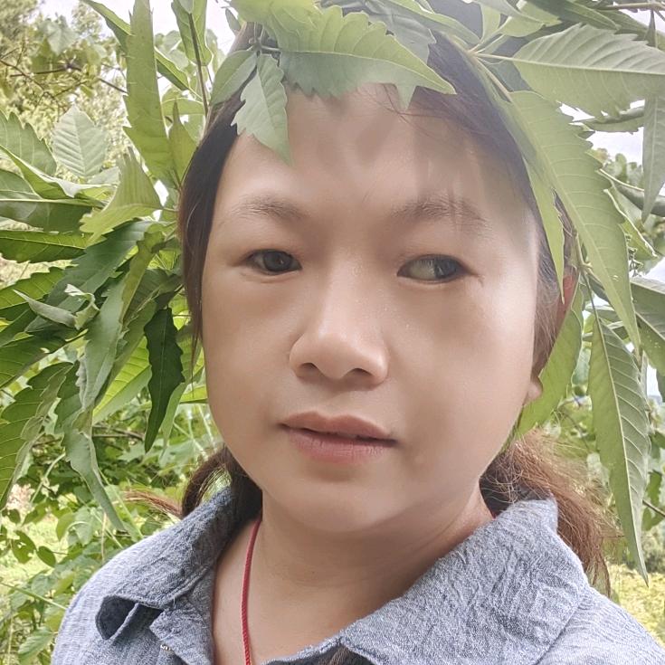 晓岚内外墙装修