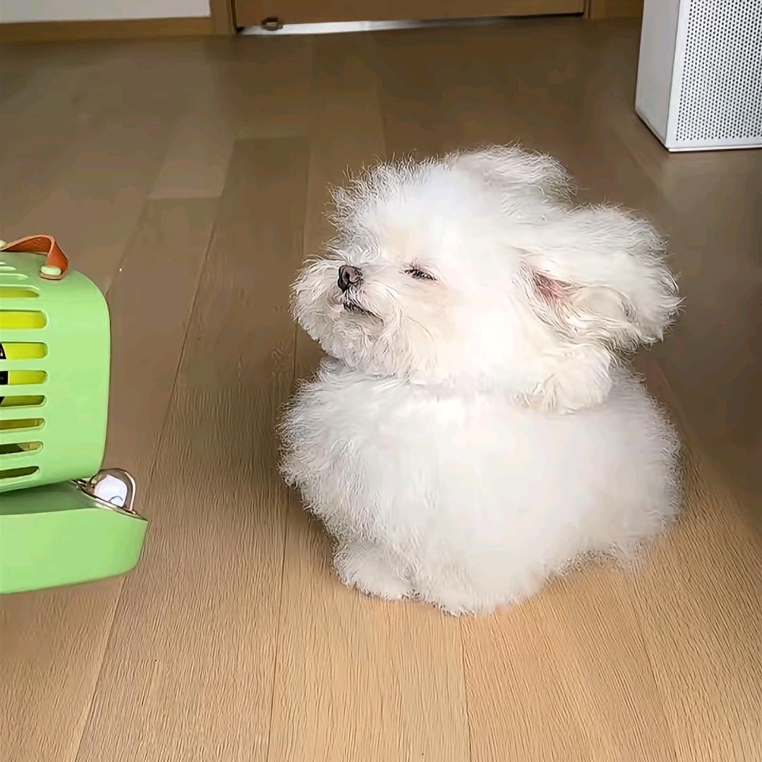 湫邱