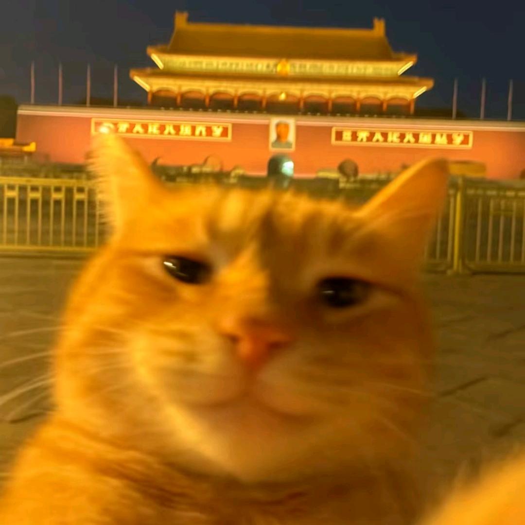 海总