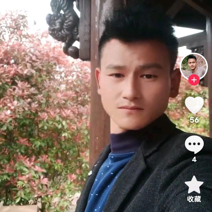 曼陀罗