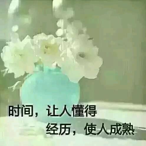 完美人生