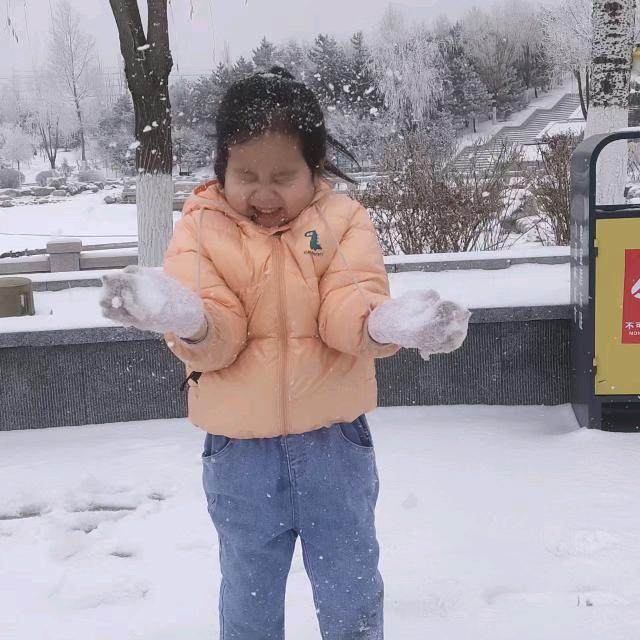 内蒙刘哥