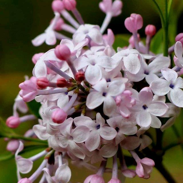 古今新邻生活站