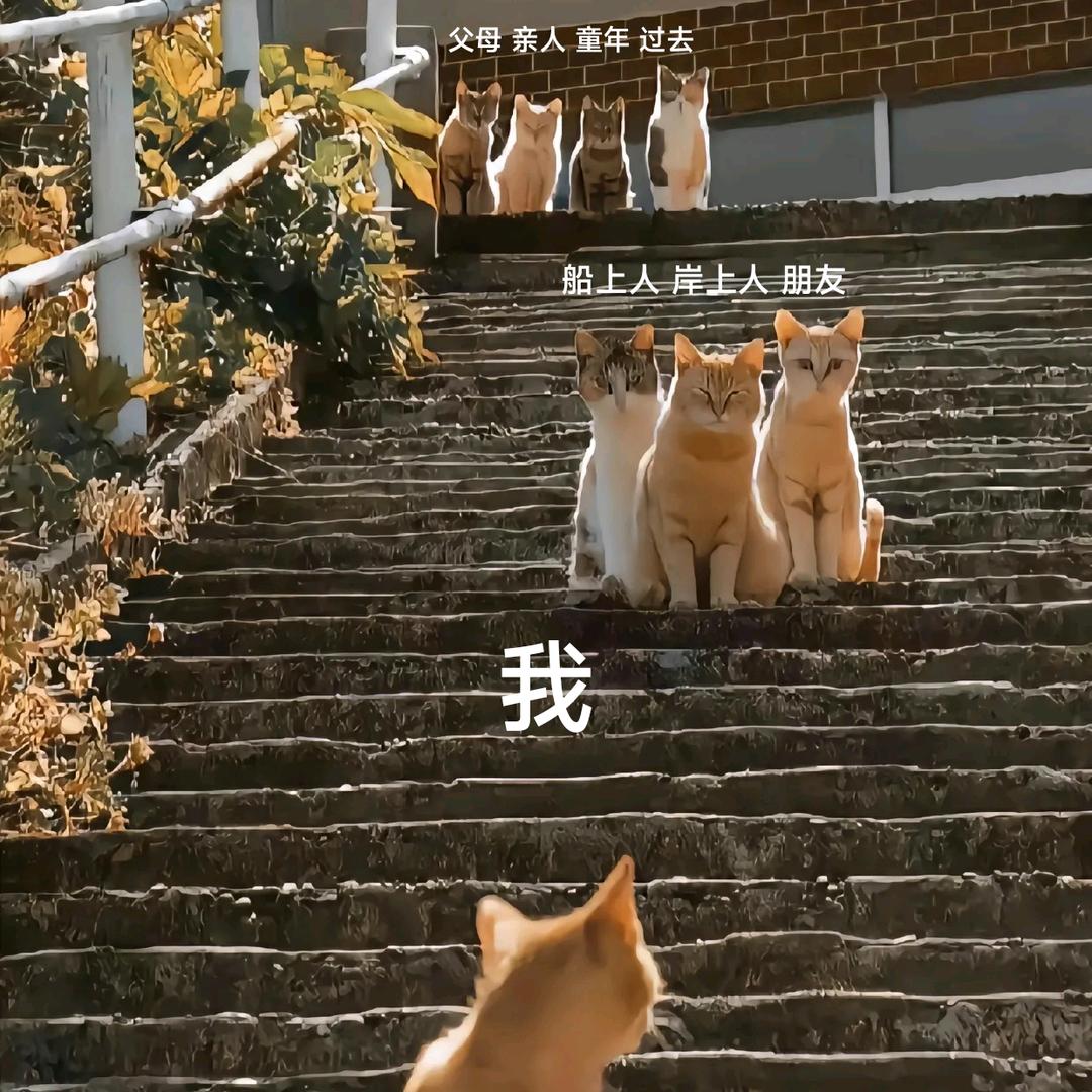 不见花海