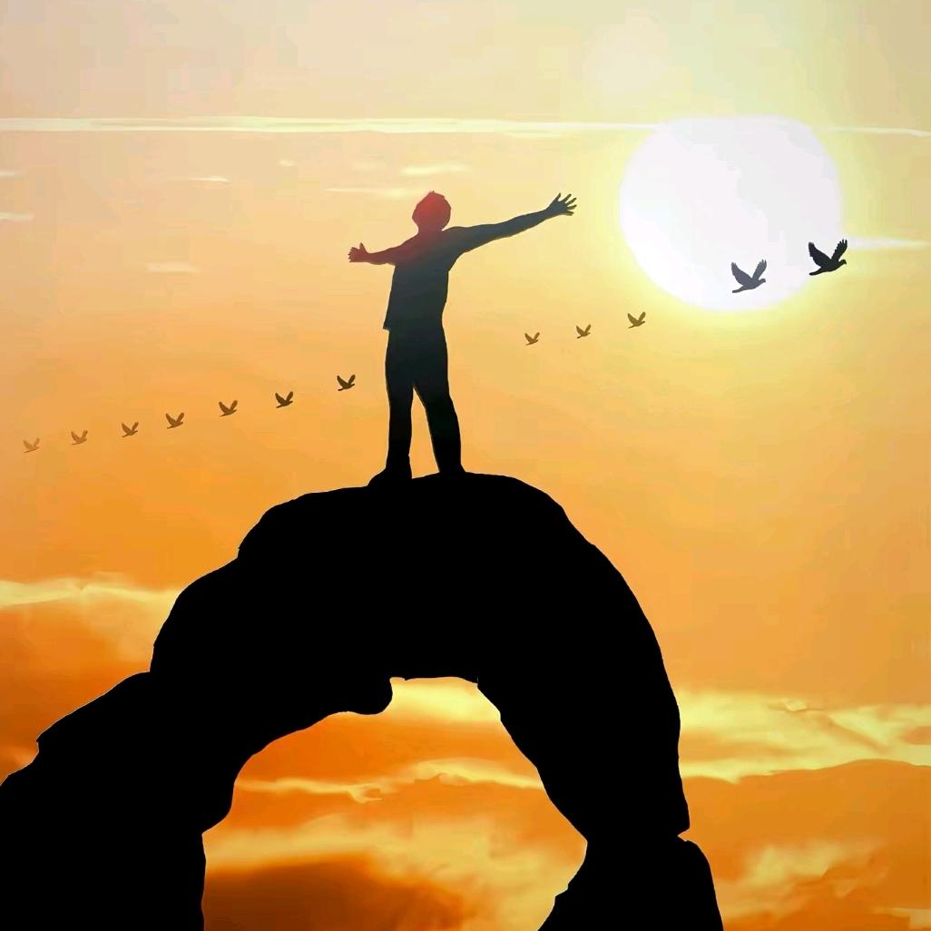 陕西单招直通车