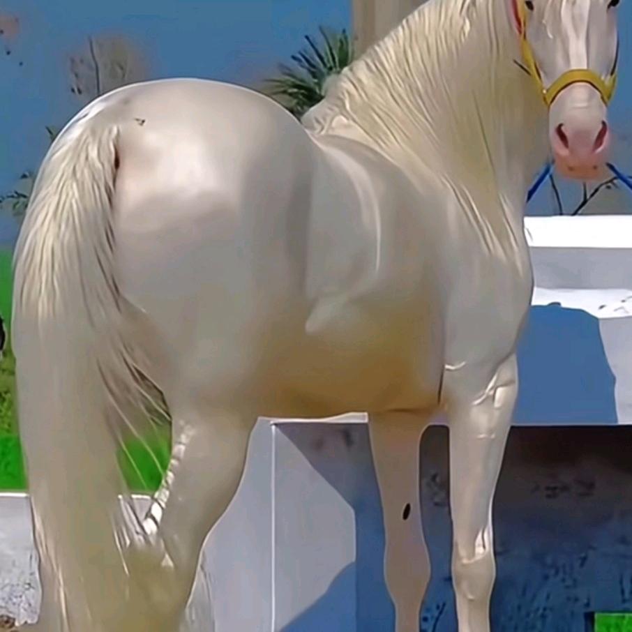 东南亚商贸，萨拜迪