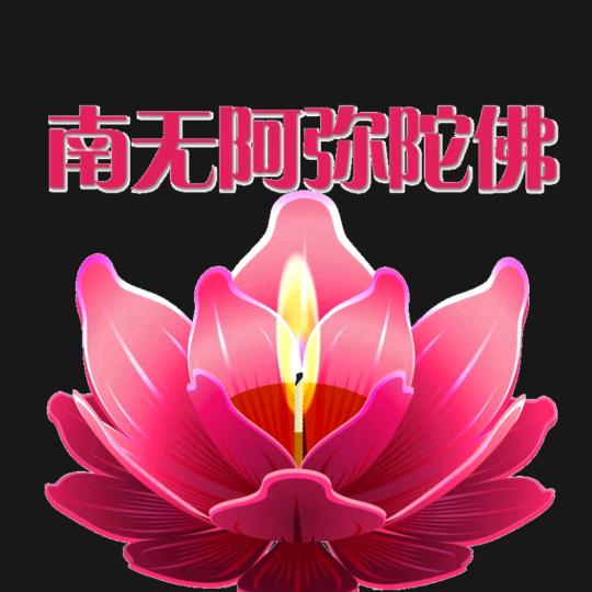我是开心果🐒🐓🐅