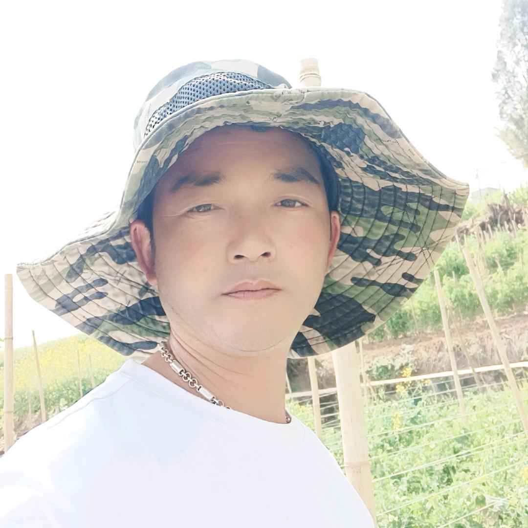 知情总被🌿绝情伤🎊