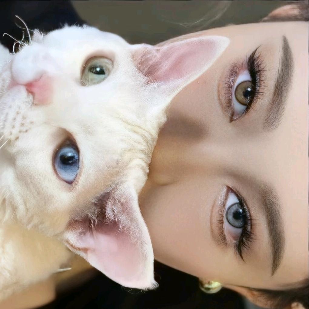 睡不着的泡泡糖：💤