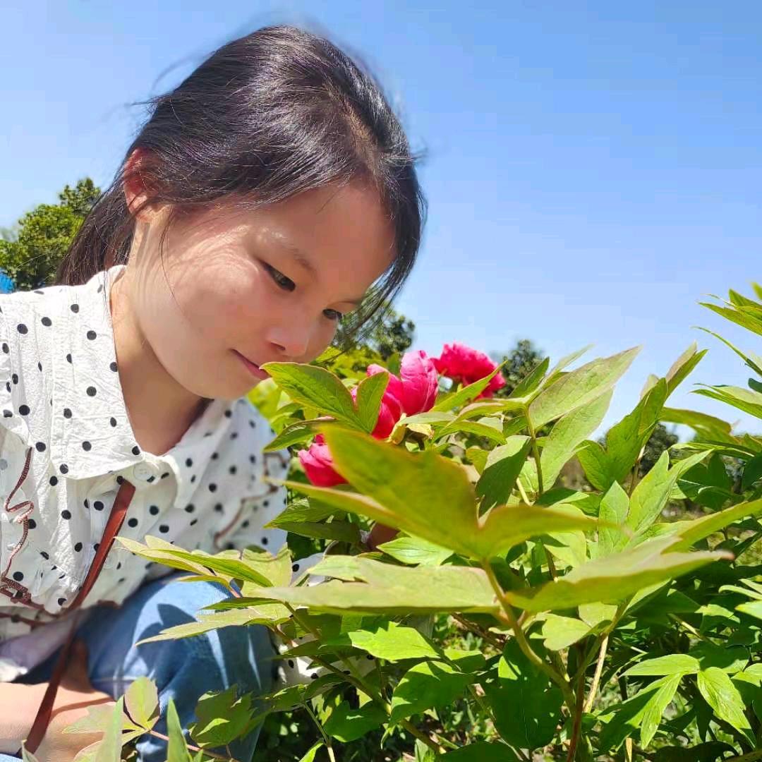 张先生