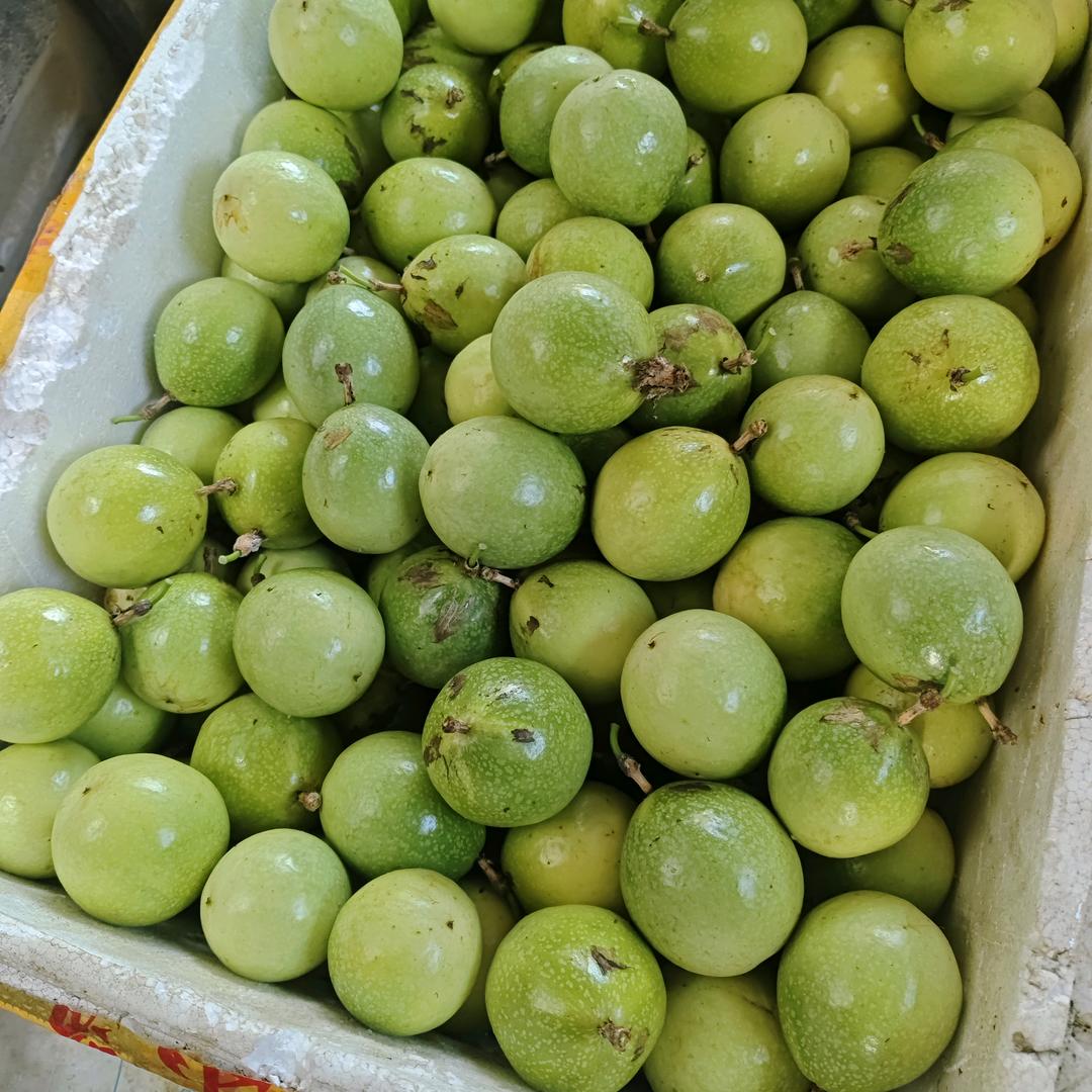追求梦想