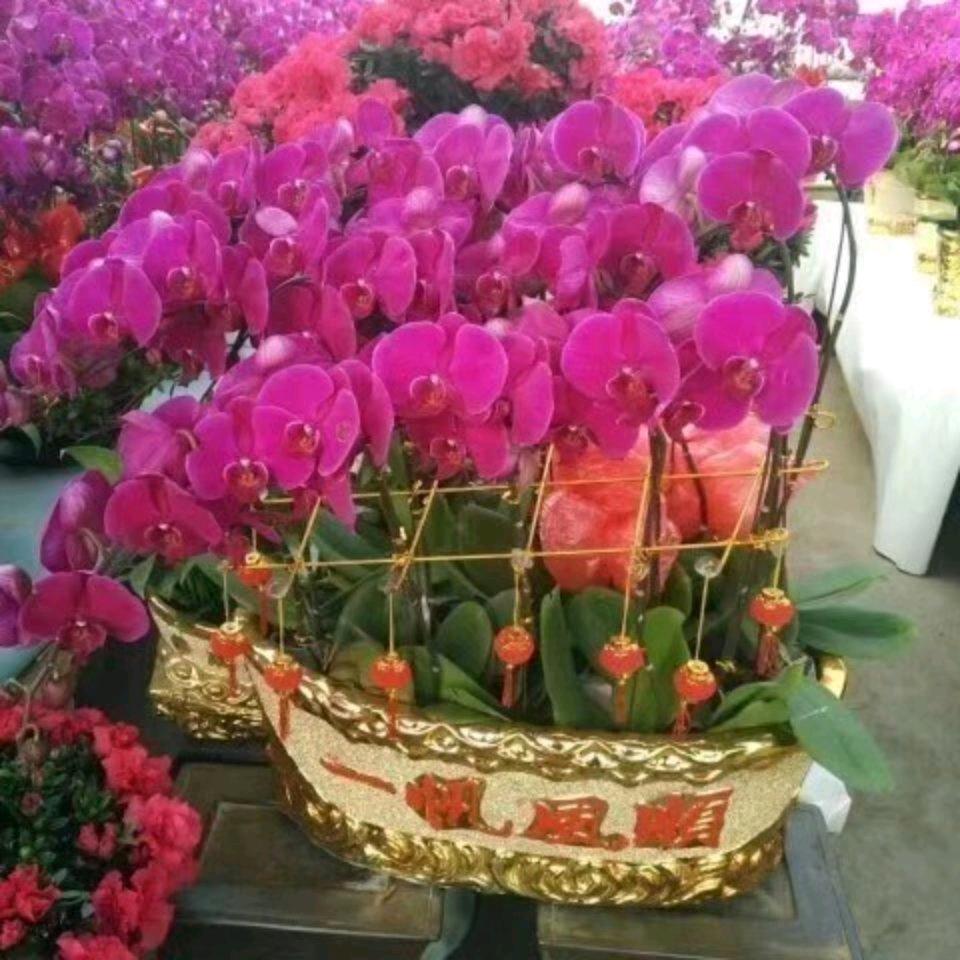 你开心我快乐退伍不退色