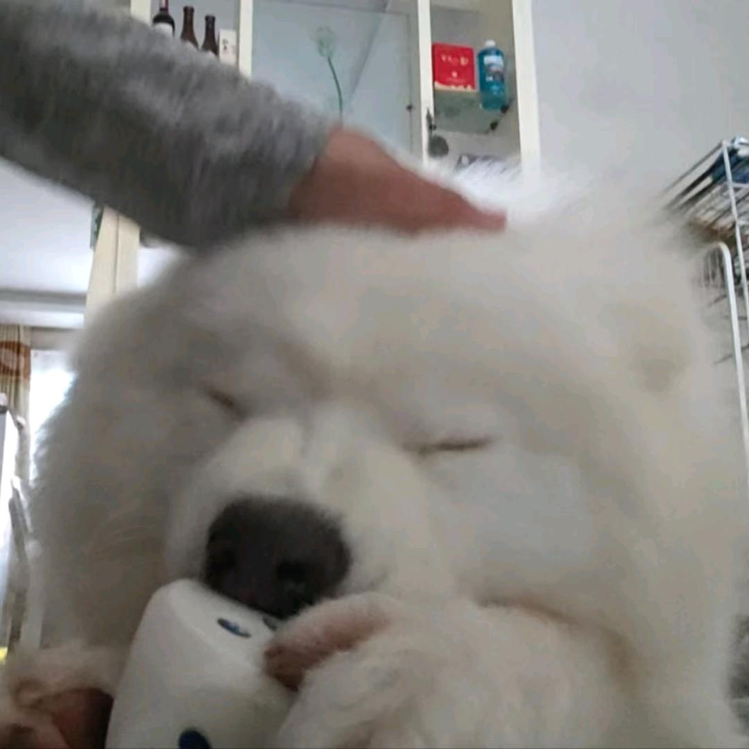一如昭暮