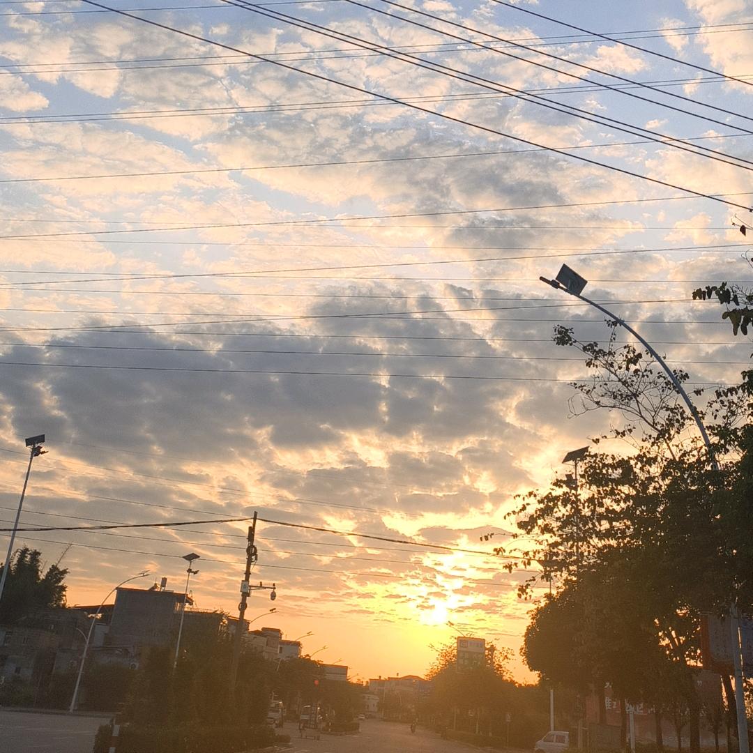 小Y