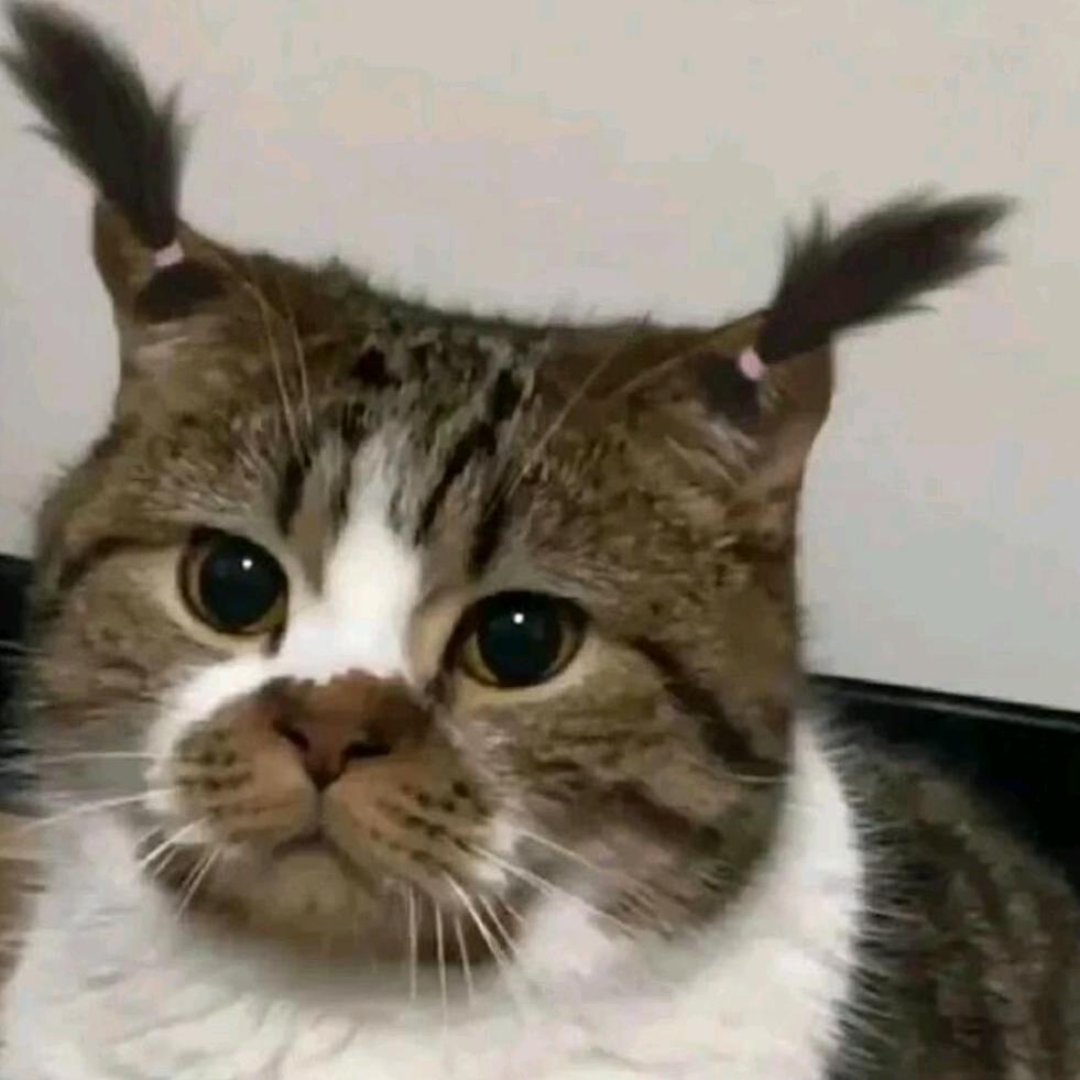 ¹²
