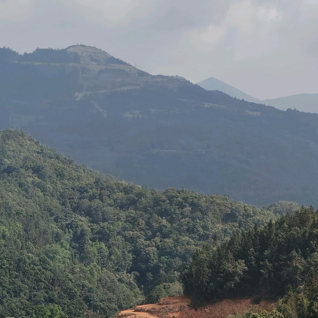 人生如书慢慢读