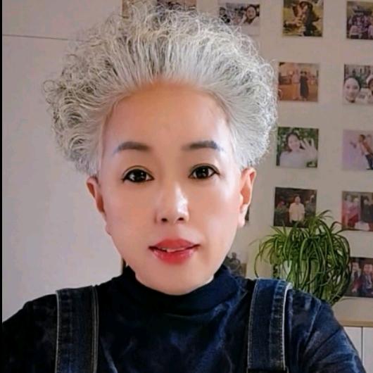 银发四孃养生记