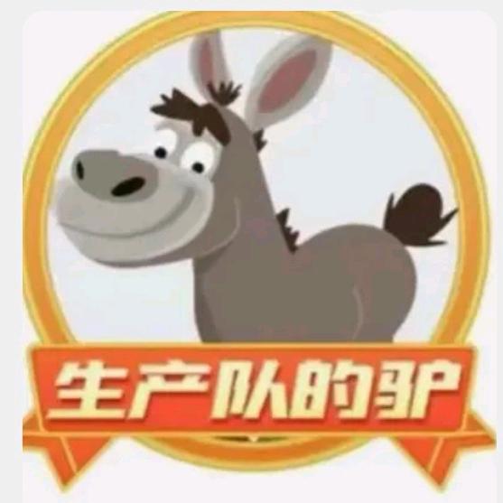 生产队的驴🫏