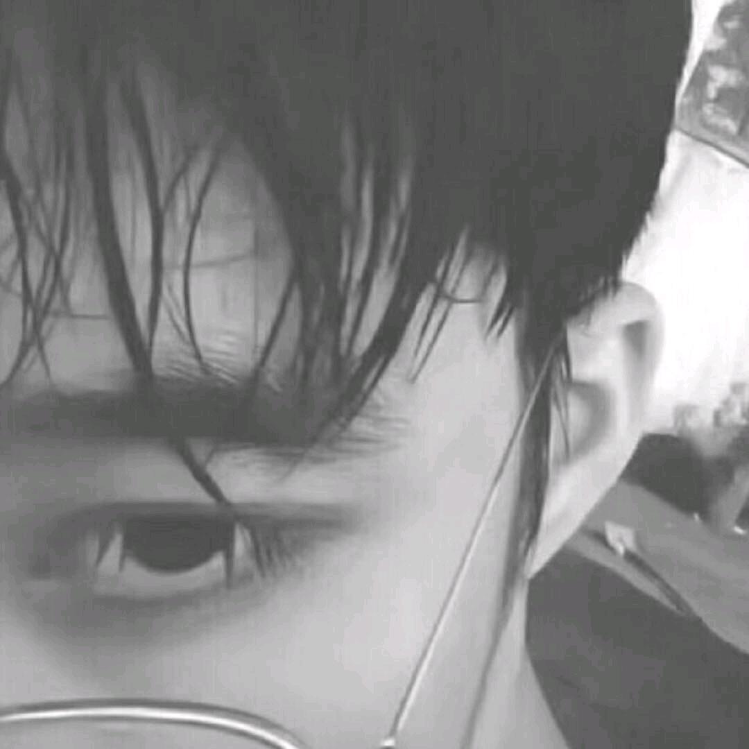 许尽欢