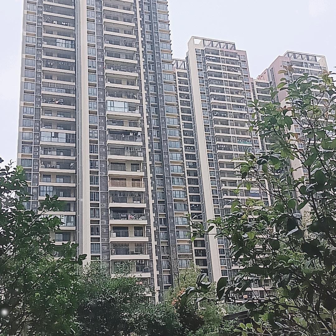 火凤凰