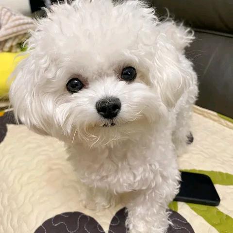 你是年少的欢喜丶