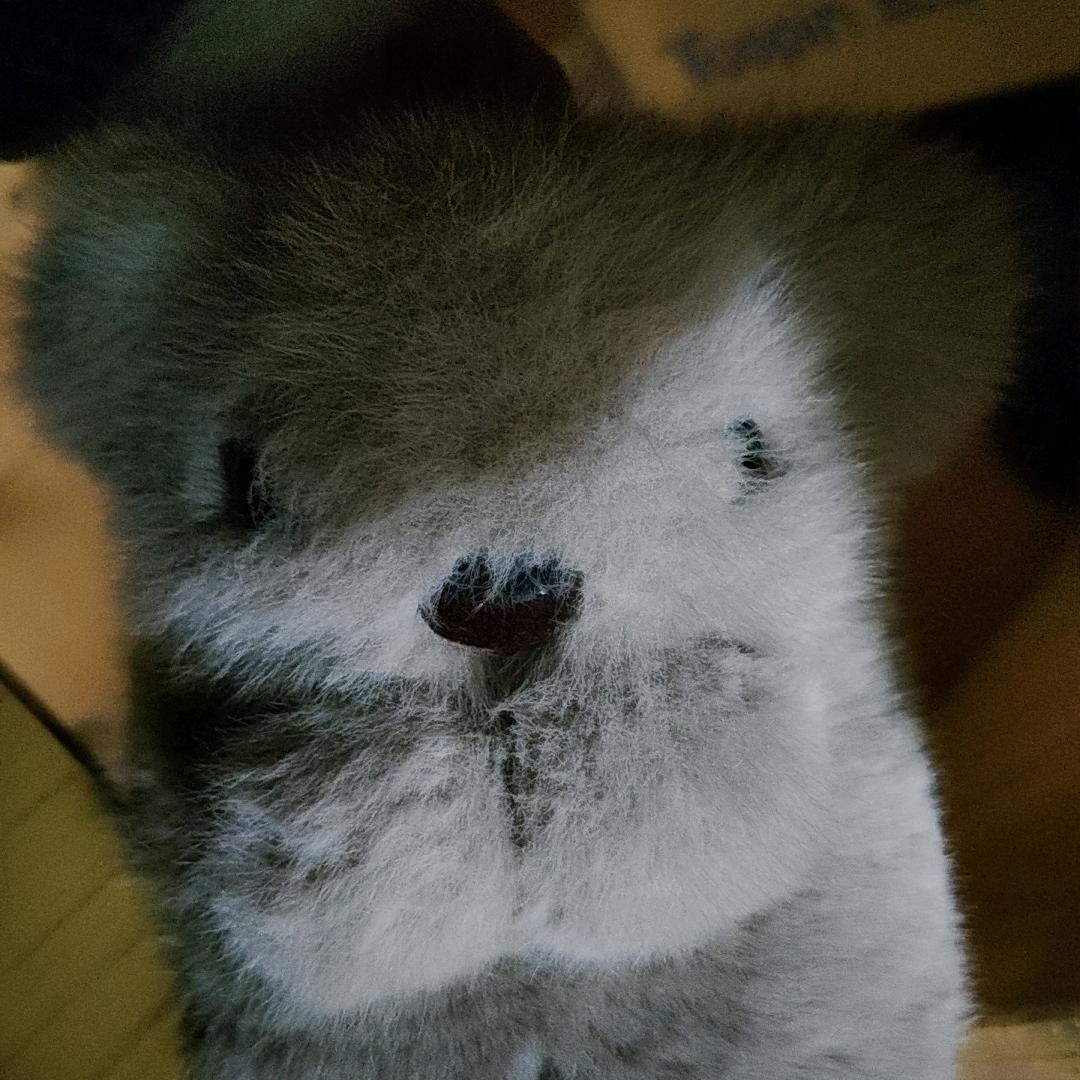 易玺