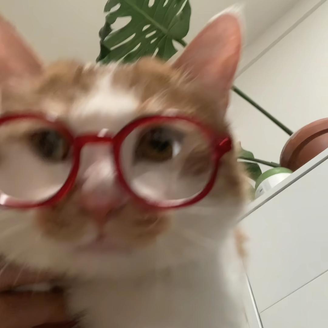 菇菇冬