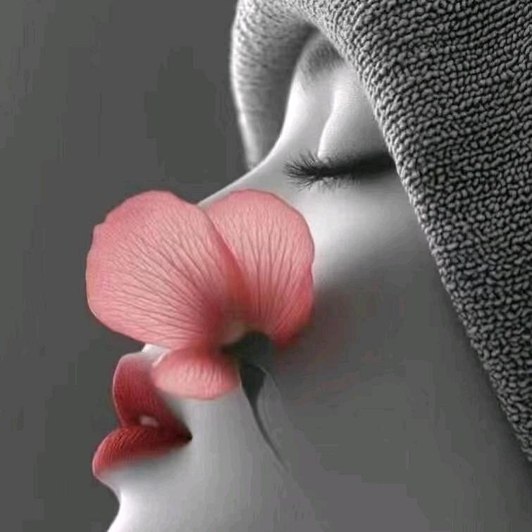 🎀丹丹姐🎀
