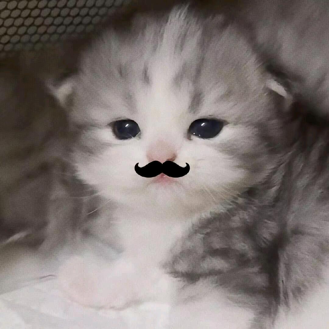 星星古着vintage（购买看主页）