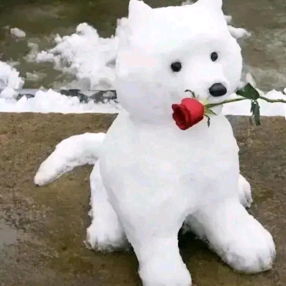 ღ᭄此女独🍒y无二ಢ᭄
