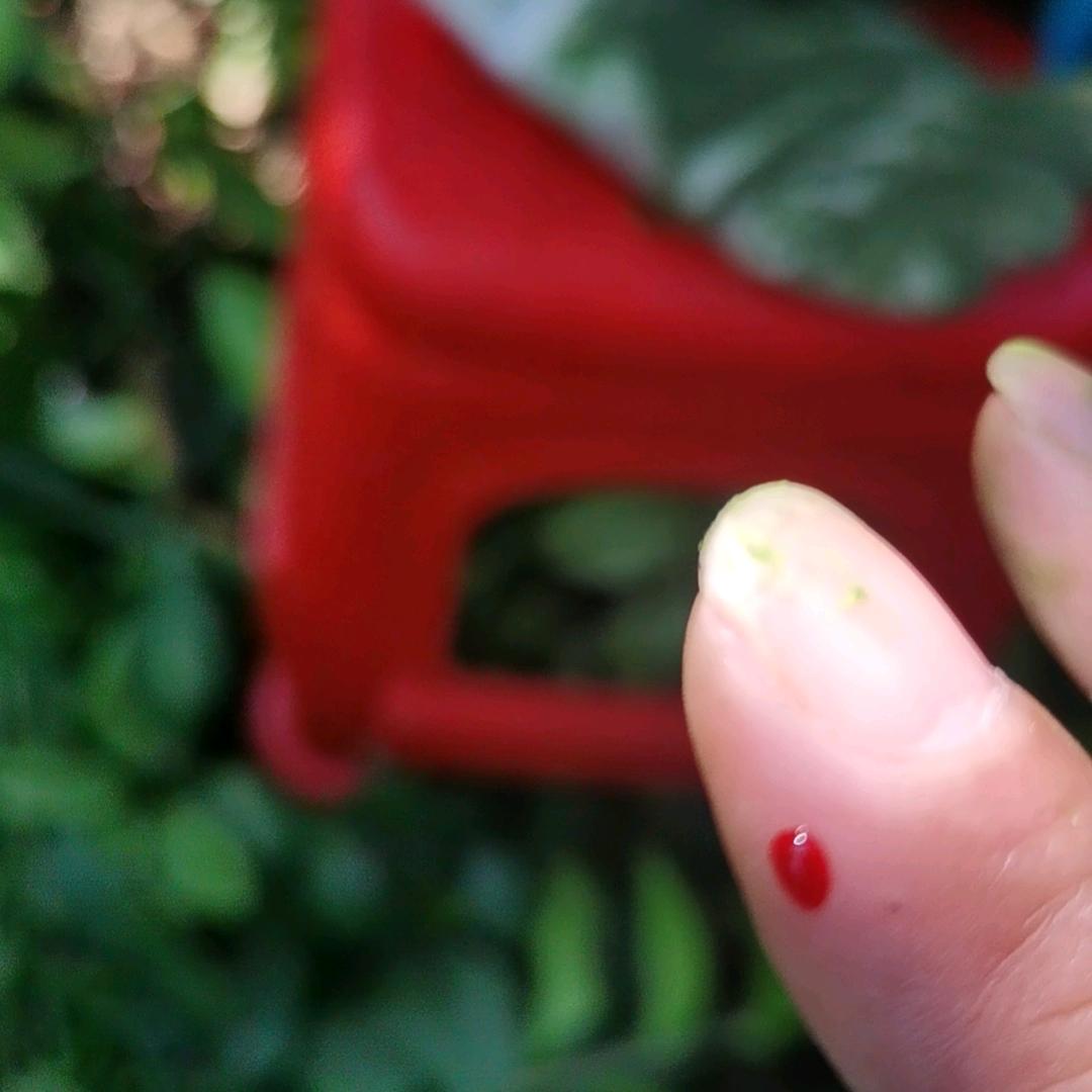 来来回回（自渡过难关）