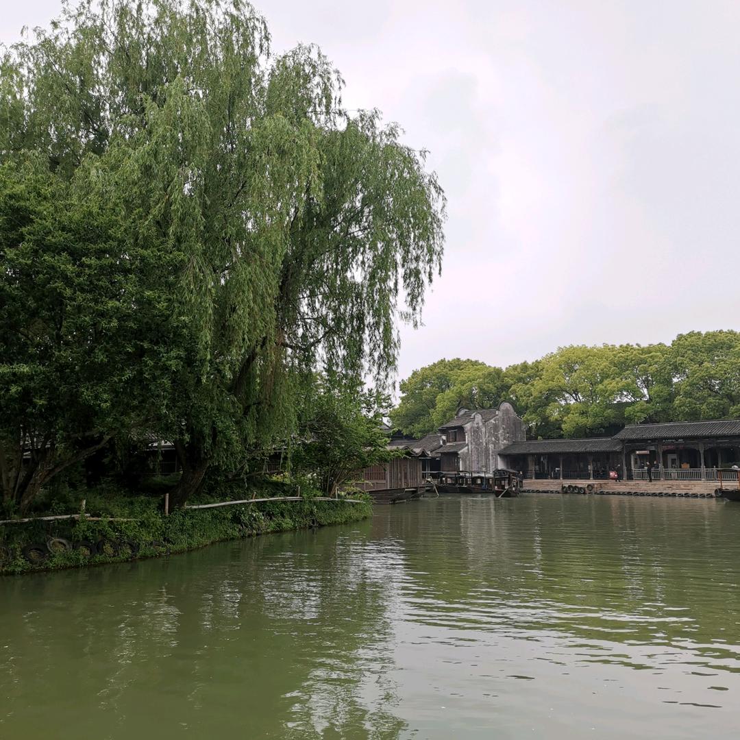心在流浪